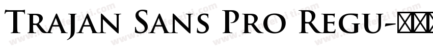 Trajan Sans Pro Regu字体转换